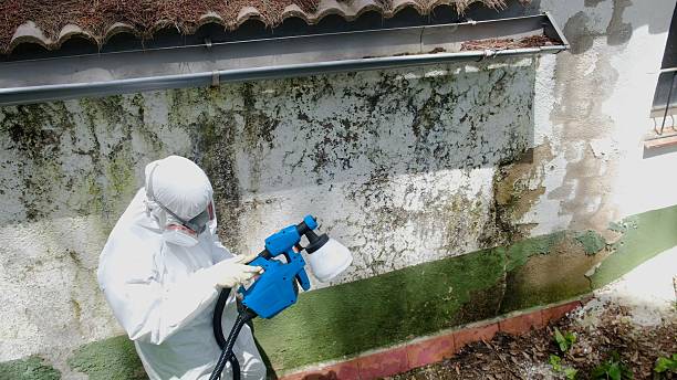 Trusted Commercial Mold Remediation service in Philipsburg, PA - Cheap Mold Removal